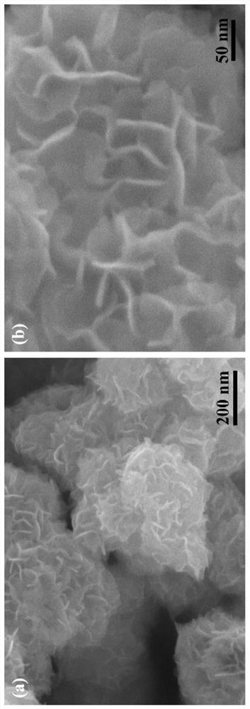 Nitrogen-doped defect-rich molybdenum disulfide catalyst as well as preparation method and application thereof