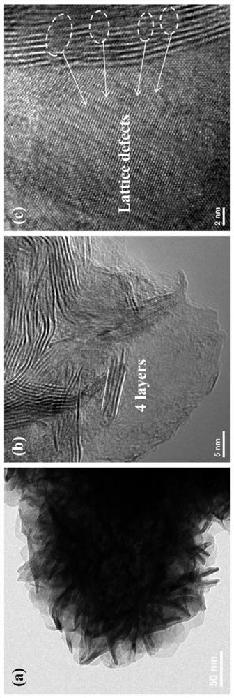 Nitrogen-doped defect-rich molybdenum disulfide catalyst as well as preparation method and application thereof