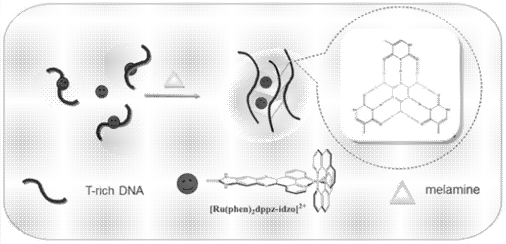 Melamine fluorescence spectroscopic detection method based on metal ruthenium polypyridine complex