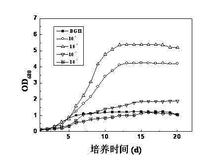 Method for promoting quick proliferation of Botryococcus braunii