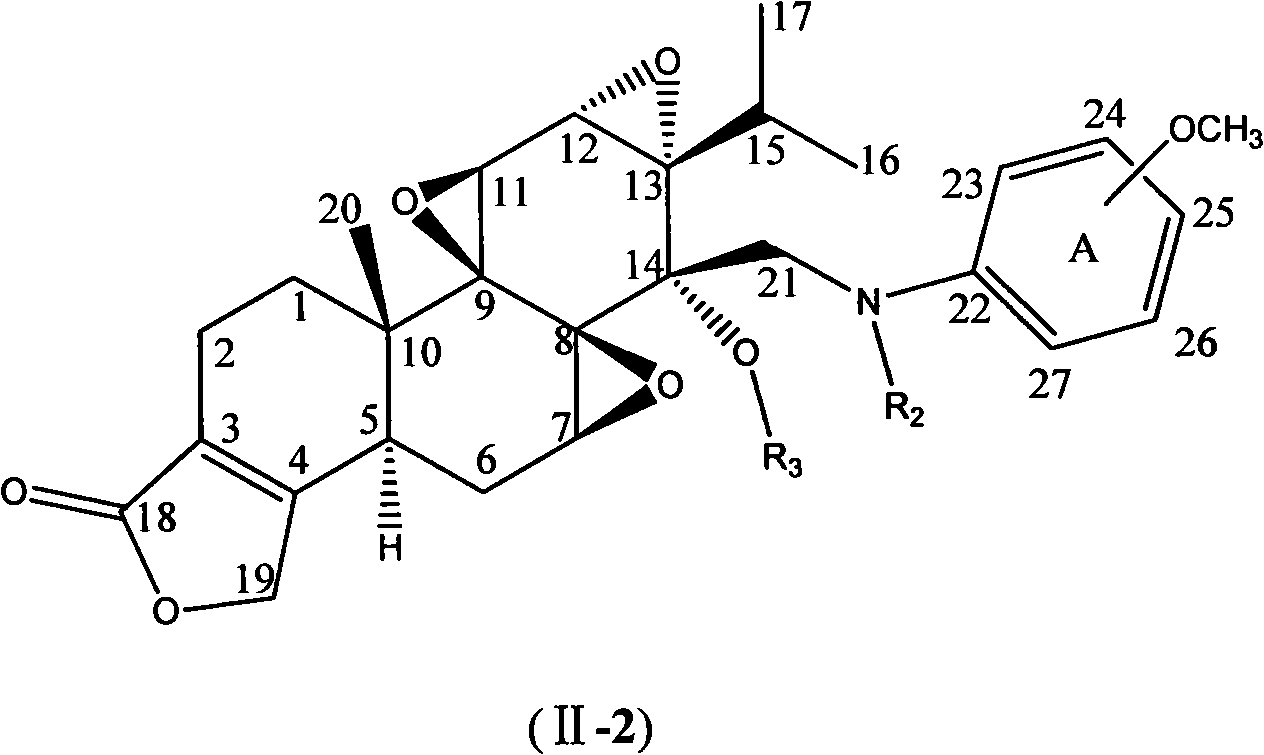 N-substituted methoxy-containing phenyl-14 Beta-aminomethyl epitriptolide derivatives, preparation method and use thereof