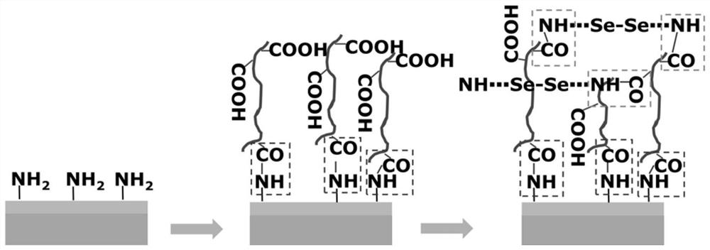 A preparation method of a blood-contact material for improving biocompatibility and the blood-contact material