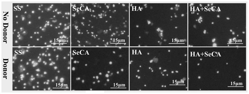 A preparation method of a blood-contact material for improving biocompatibility and the blood-contact material