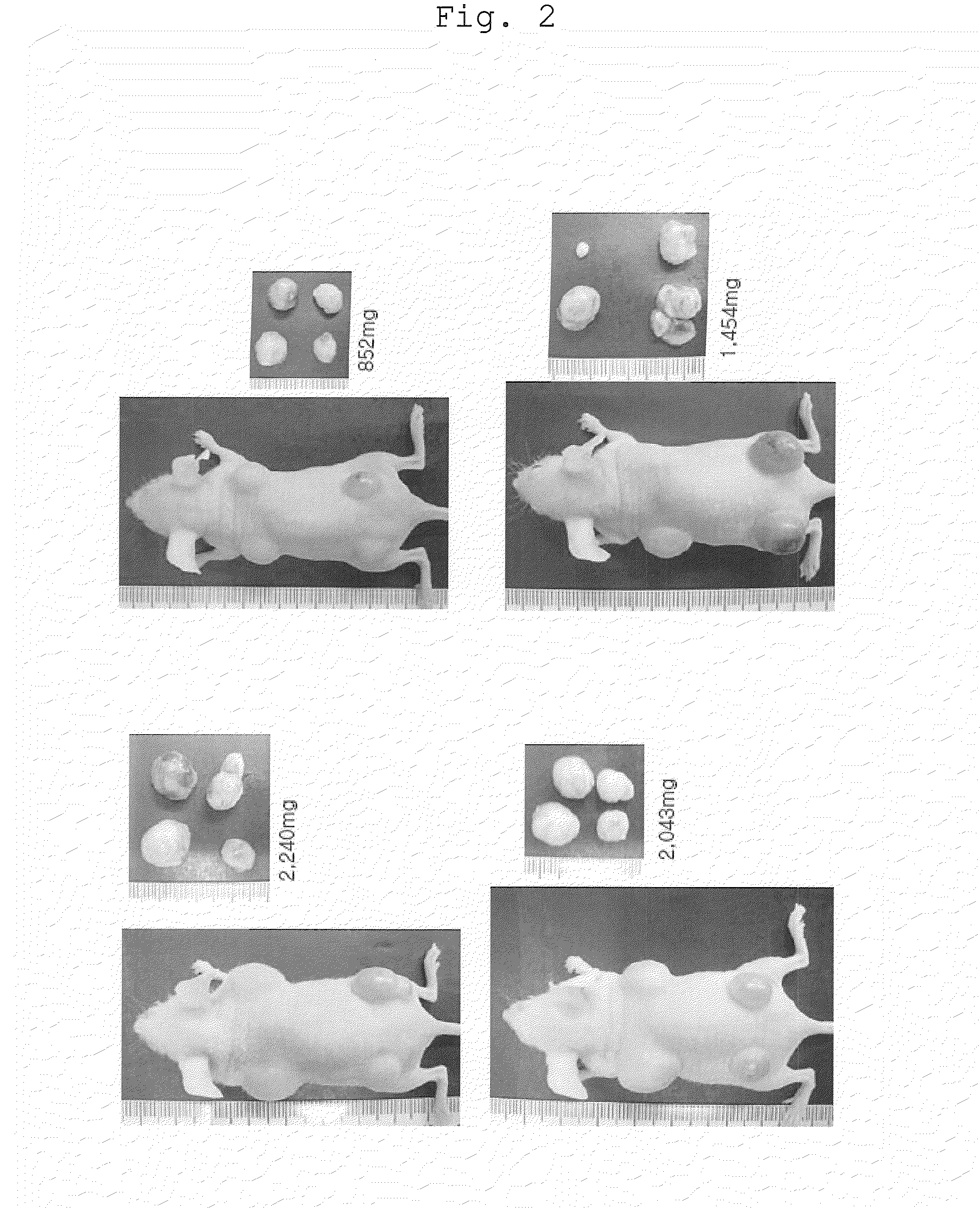 Method of efficiently establishing induced pluripotent stem cells