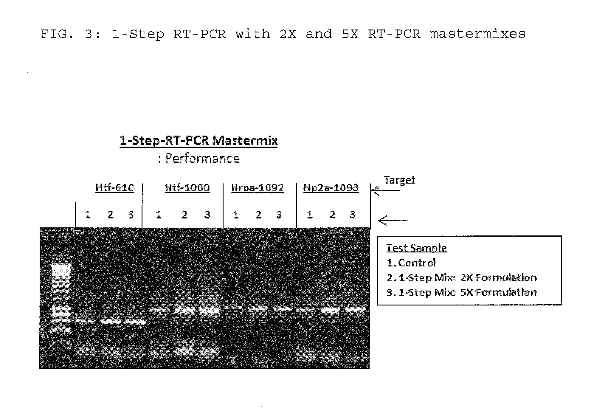 Compositions and methods for RT-PCR