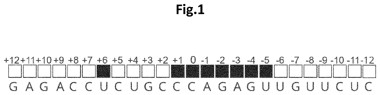 Antisense oligonucleotides for RNA editing