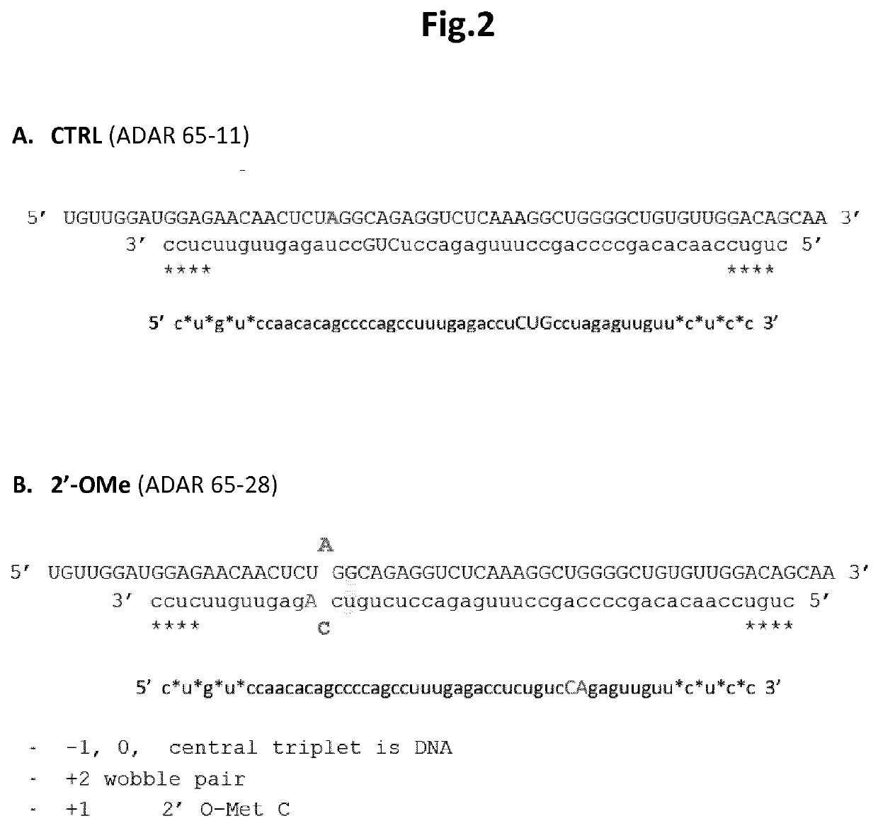 Antisense oligonucleotides for RNA editing