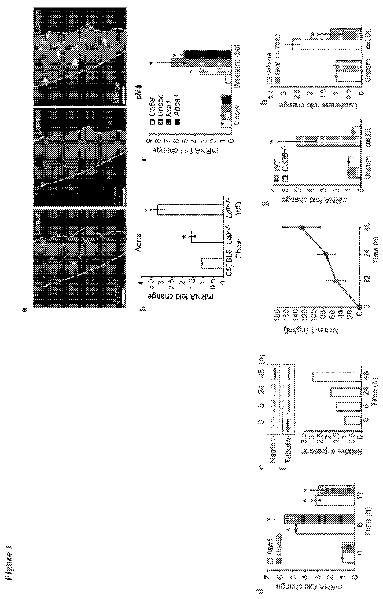 Methods for treating inflammation