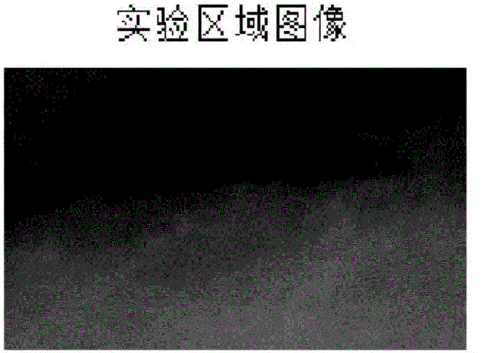 X-ray digestive tract image resolution evaluation method based on human anatomic structure