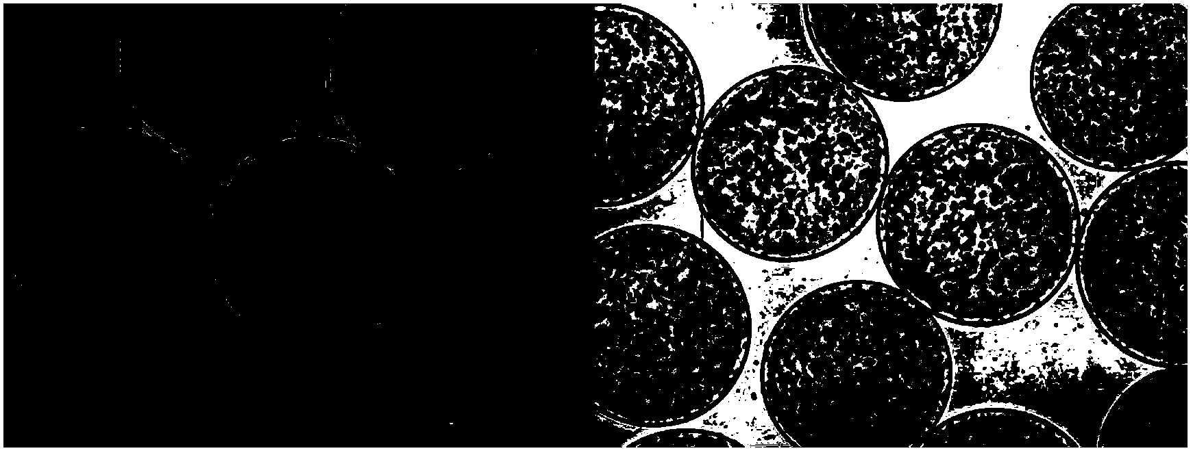 Magnetic-field fluidized bed micro-capsule-loaded artificial liver reactor