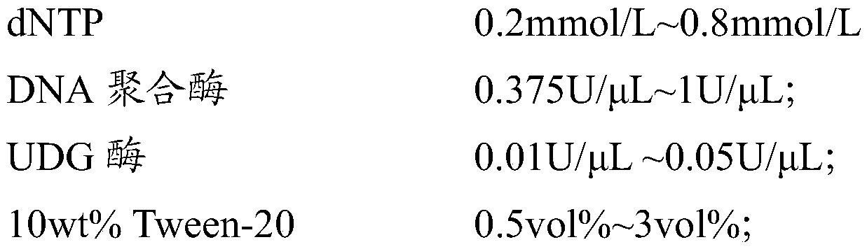 Gene polymorphism detection primer, probe and kit