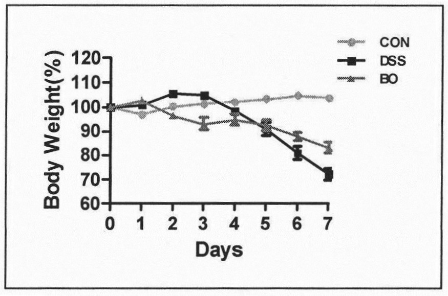 Preparation method of rabdosia amethystoides fermentation preparation and application thereof in anti-tumor treatment