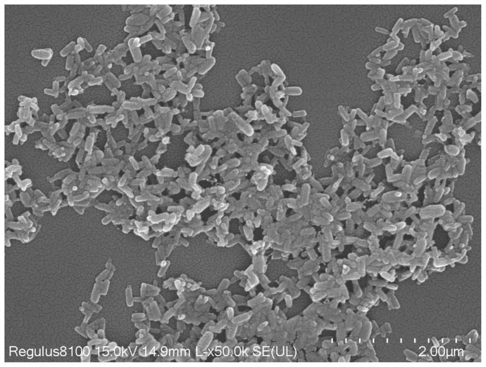 Preparation method and application of metal ion modified MOF micro/nano structure in hydrogel