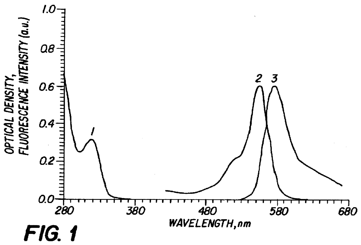 Photo-chemical generation of stable fluorescent derivatives of Rhodamine B