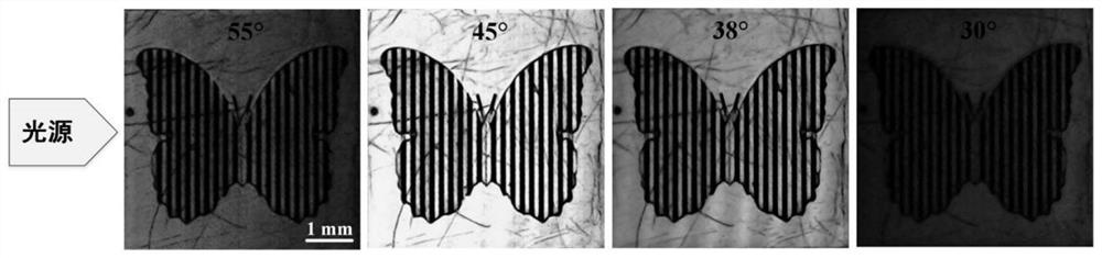 A Method of Realizing Information Display and Encryption Based on Femtosecond Laser Induced Segmentation Pattern