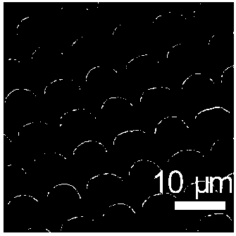 Precision vaccine preparation method based on soft etching and layer-by-layer self-assembly