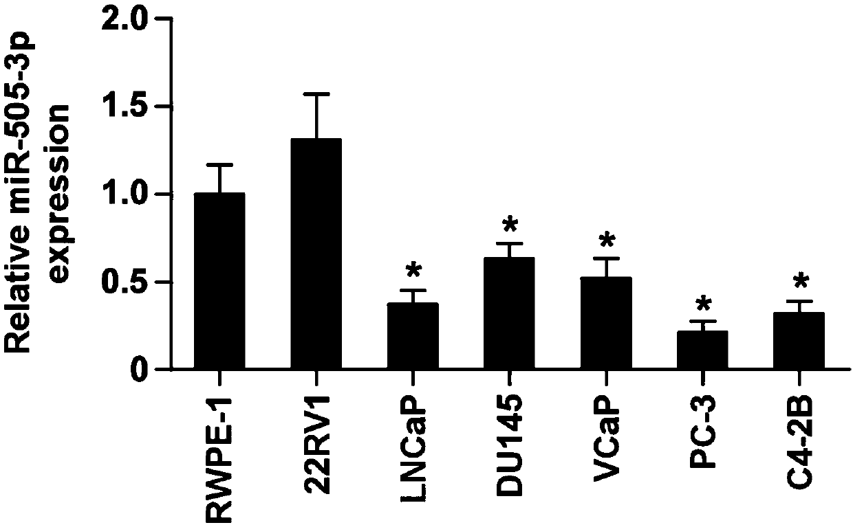 Application of miR-505-3p in diagnosis, prognosis and treatment of PCa (prostate cancer) bone metastasis