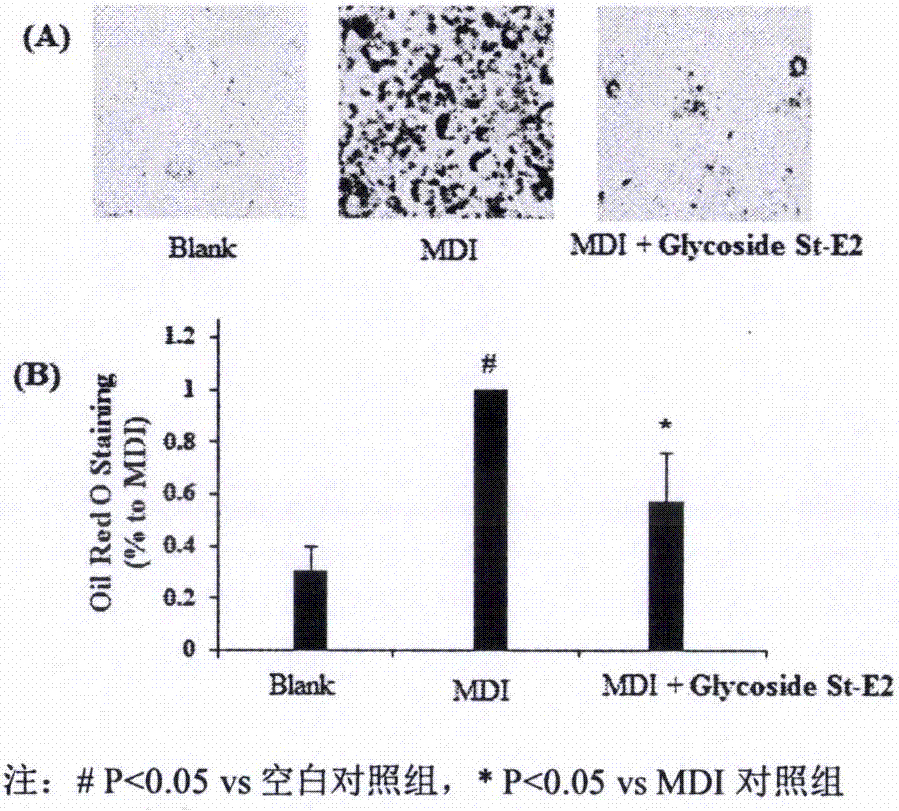 Method for preparing triterpene compound with effects of preventing and treating obesity and application of triterpene compound