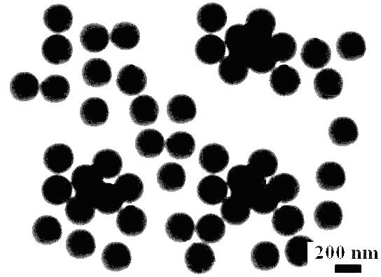 Cardiac or vascular patch with anticoagulant effect