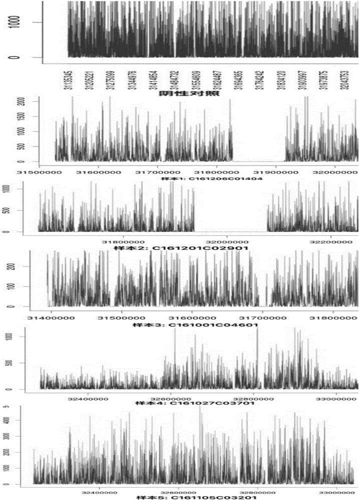 DMD (Duchenne muscular dystrophy) gene capture probe and application thereof in DMD gene mutation detection