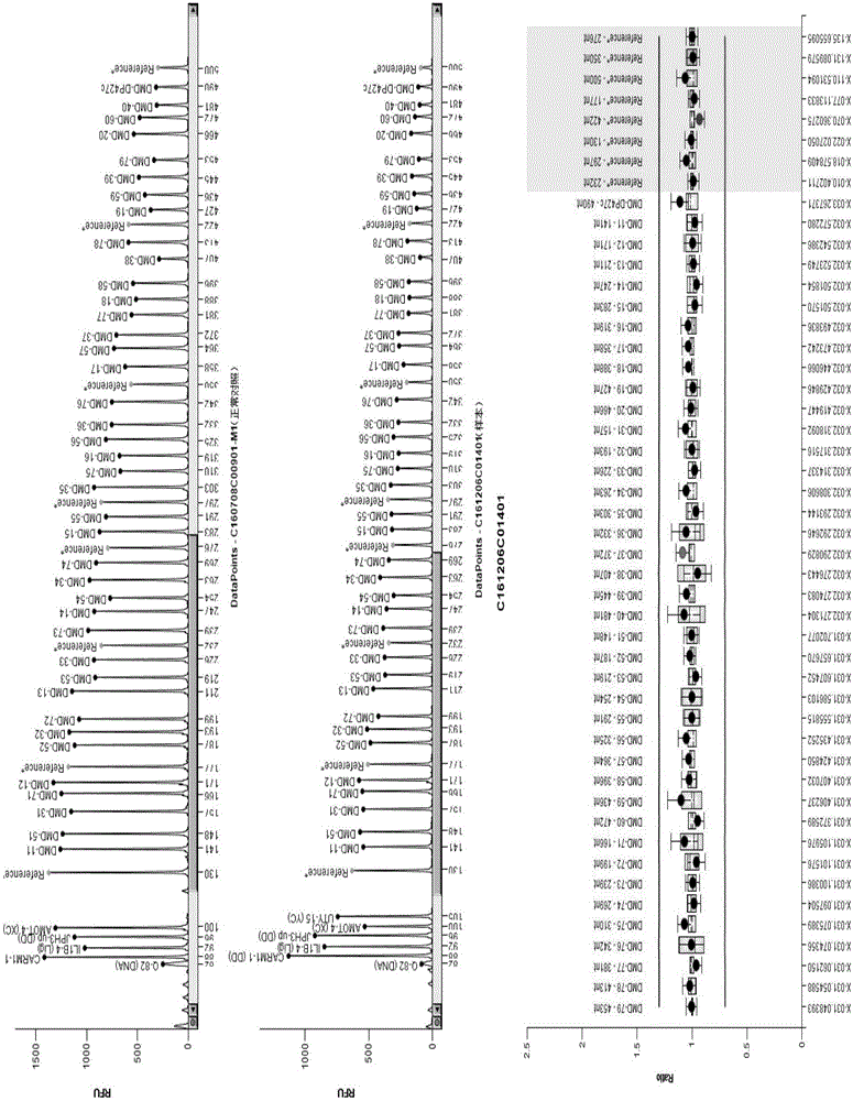 DMD (Duchenne muscular dystrophy) gene capture probe and application thereof in DMD gene mutation detection