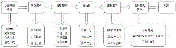 Silkworm co-breeding method