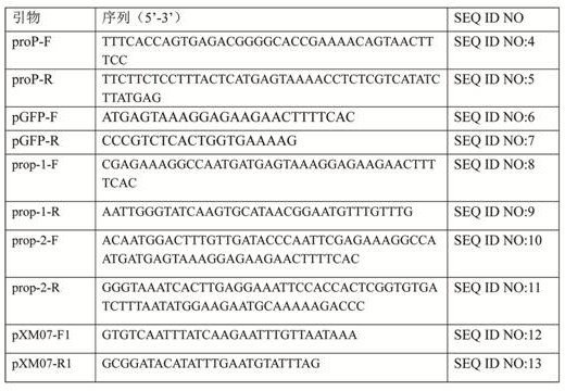 A mutant hypertonic inducible promoter pprop and its application