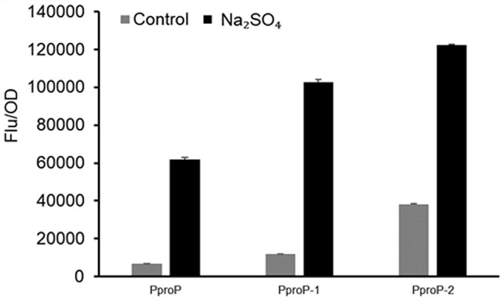 A mutant hypertonic inducible promoter pprop and its application