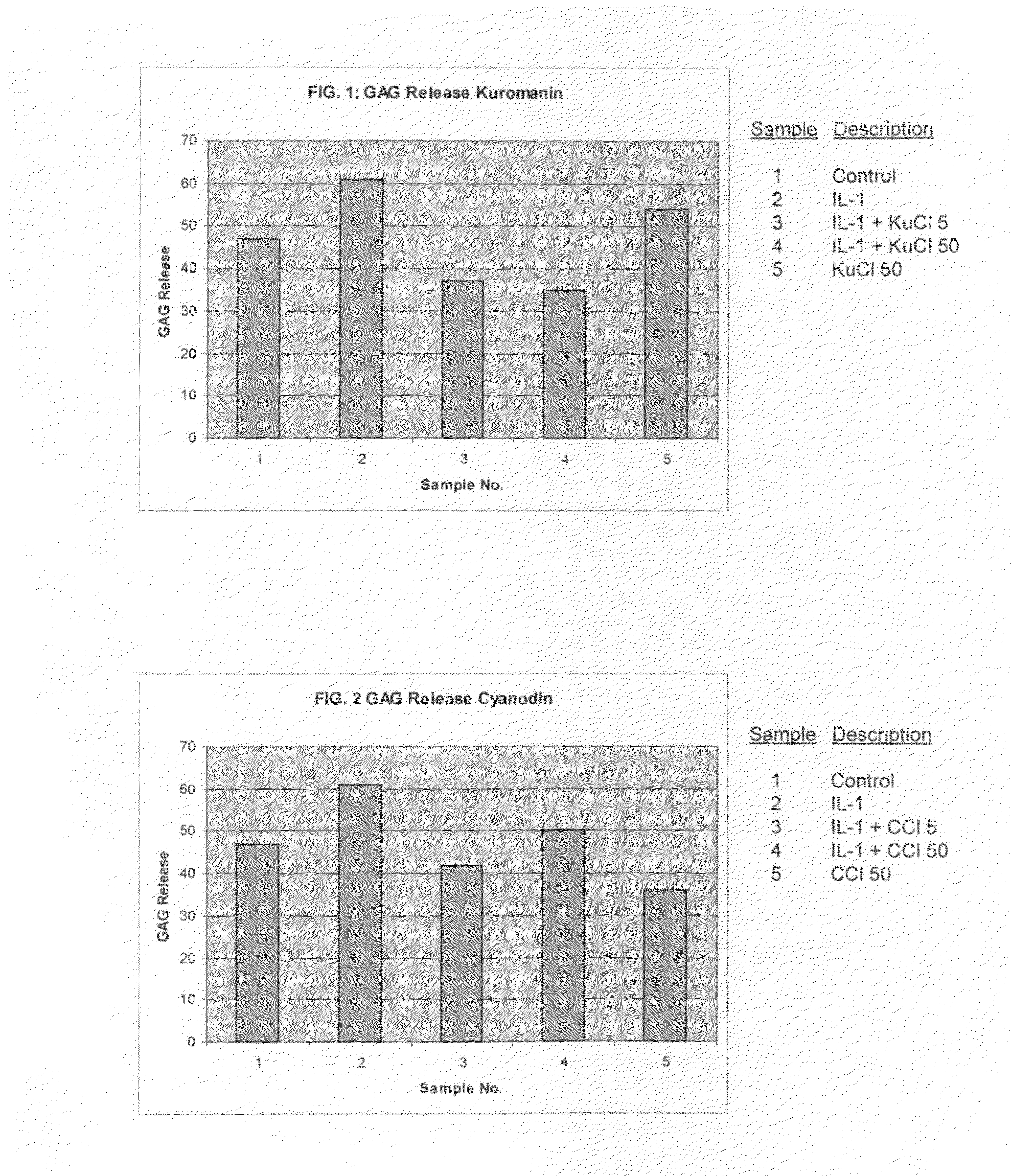 Compositions including anthocyanin or anthocyanidin for the prevention or treatment of articular cartilage-associated conditions