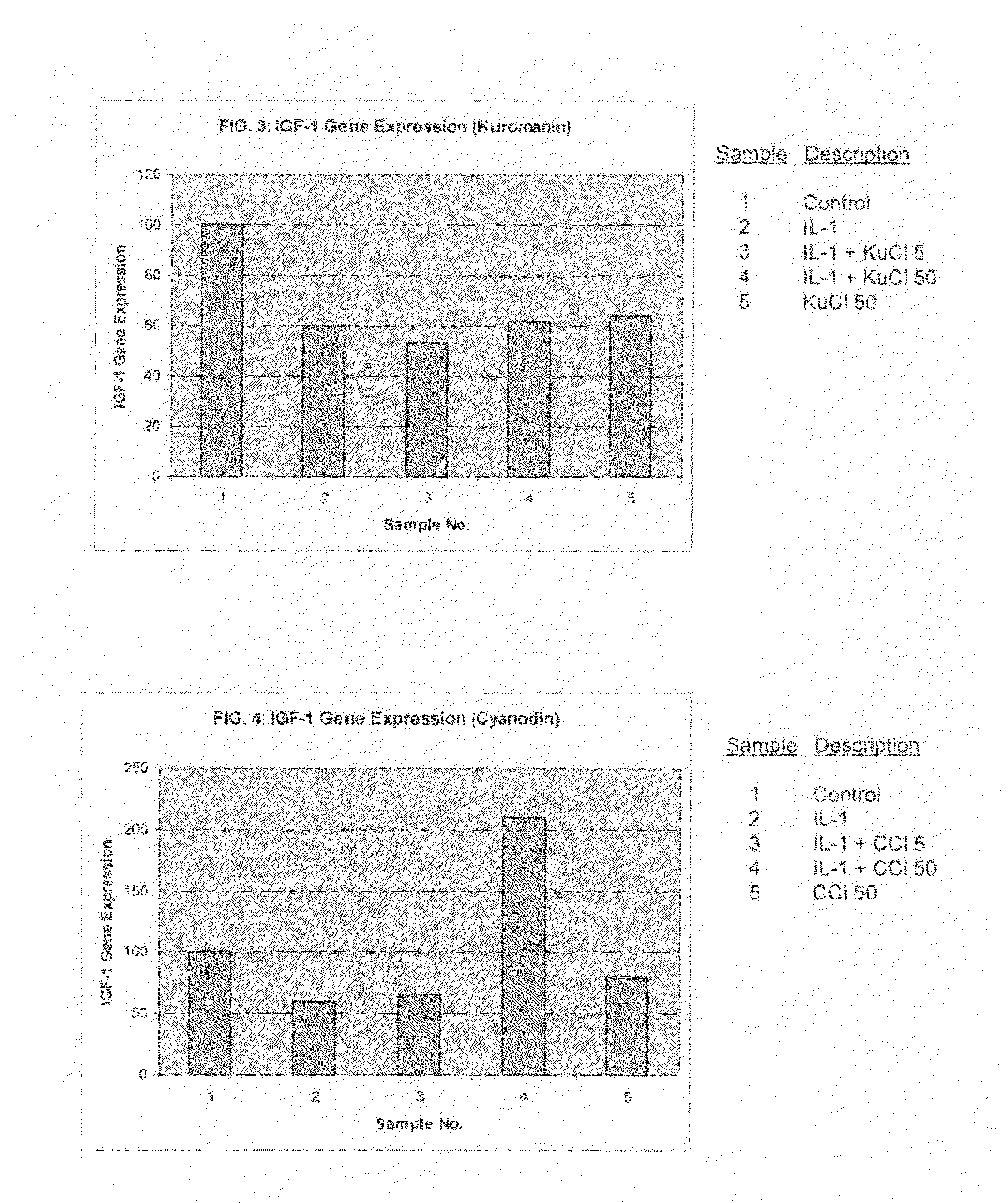 Compositions including anthocyanin or anthocyanidin for the prevention or treatment of articular cartilage-associated conditions