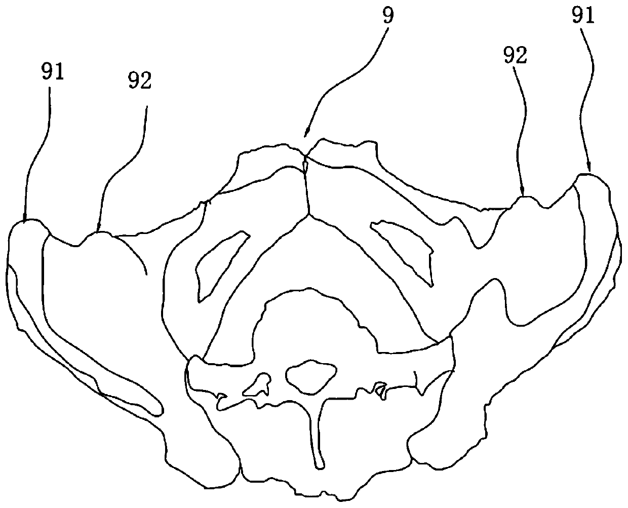 Positioning device and method for anterior inferior spine