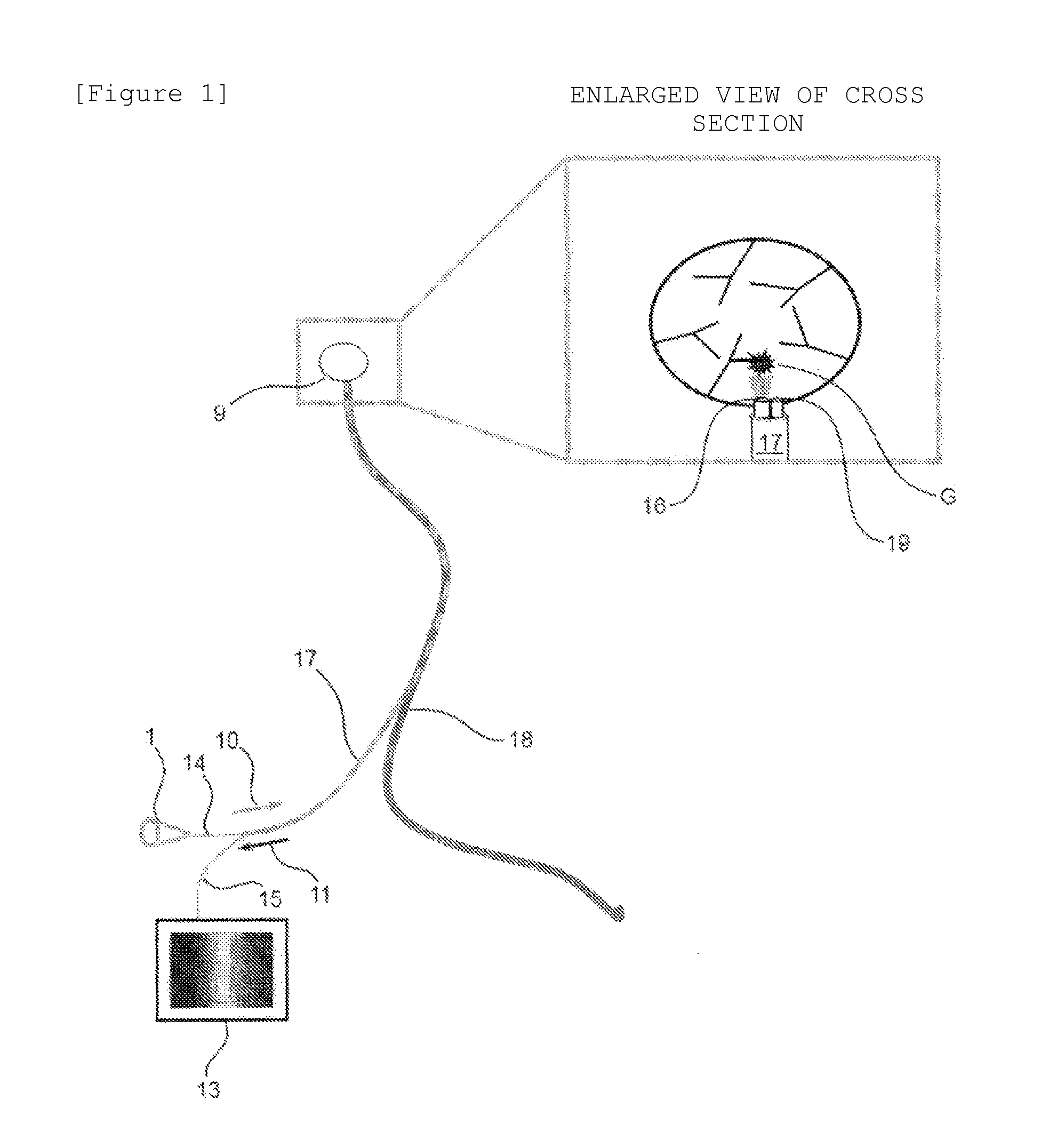 Device for determining metastasis of cancer to sentinel lymph node