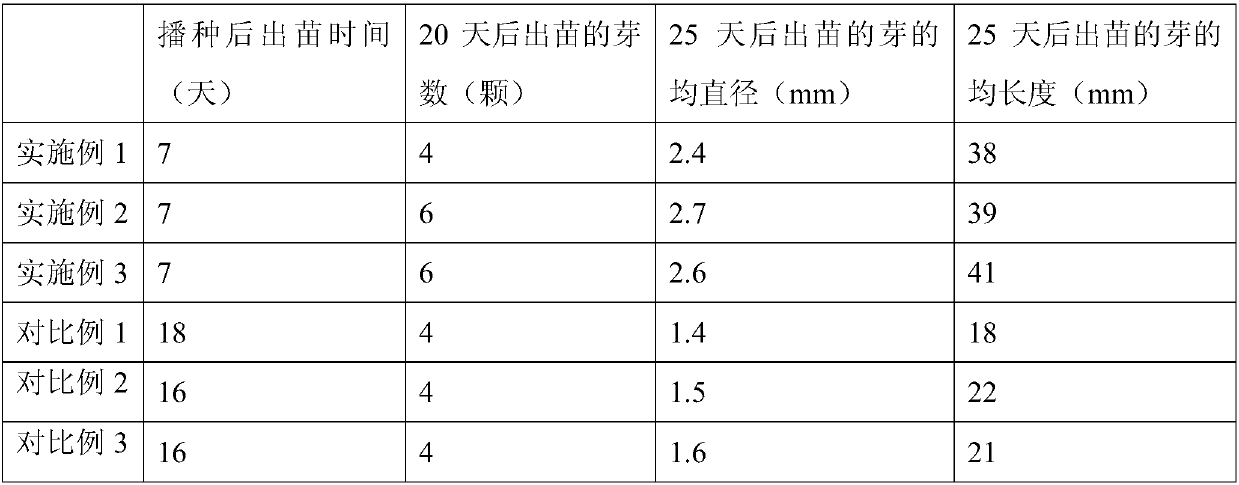 Planting method for improving emergence rate of edible canna