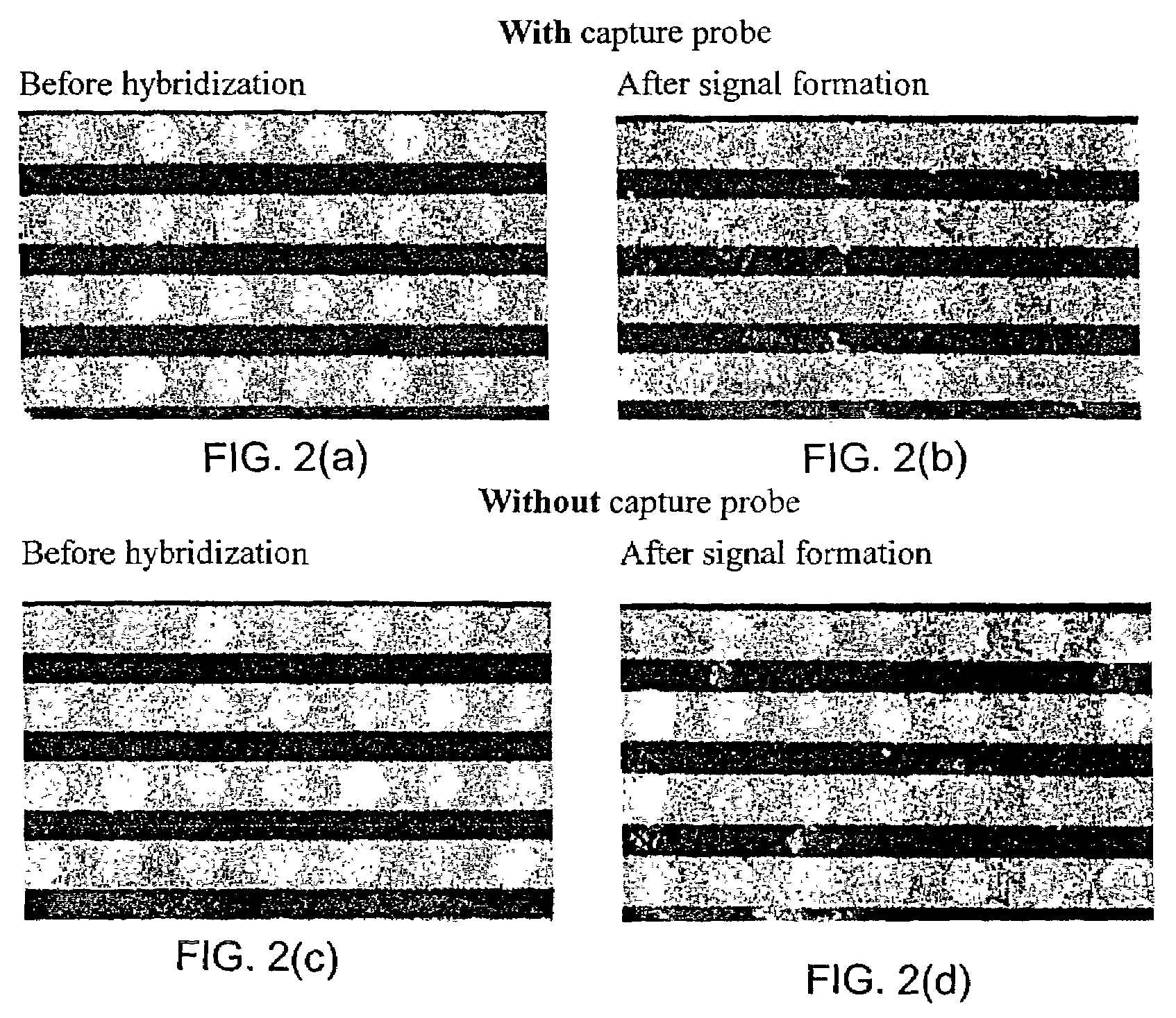 Apparatus and methods for detecting DNA in biological samples