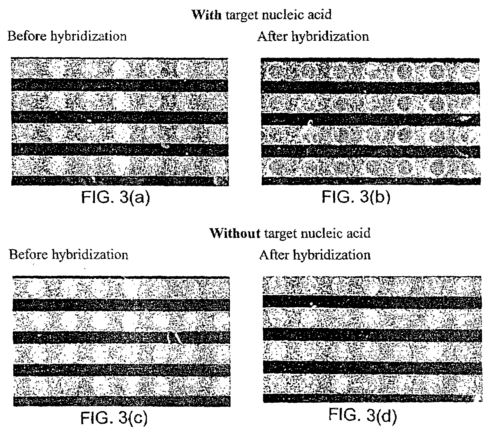 Apparatus and methods for detecting DNA in biological samples