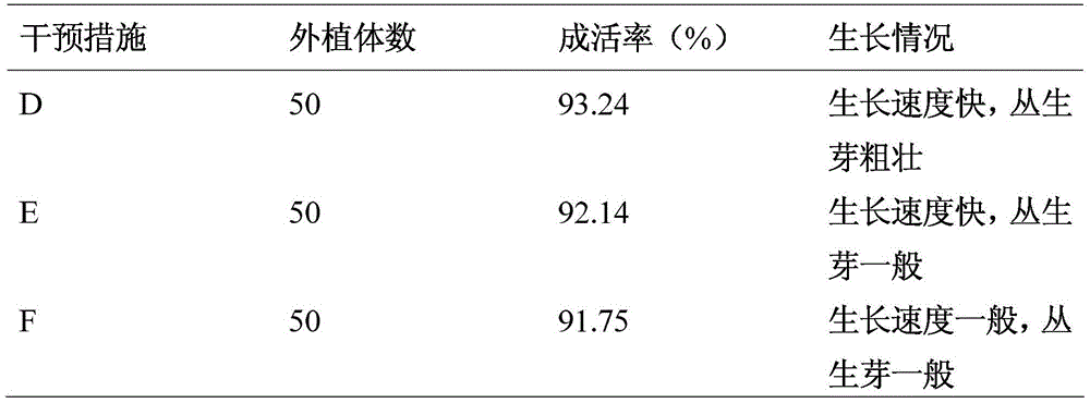 A kind of rapid propagation method of longan