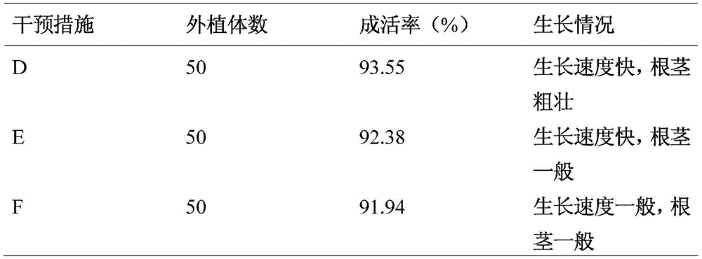 A kind of rapid propagation method of longan