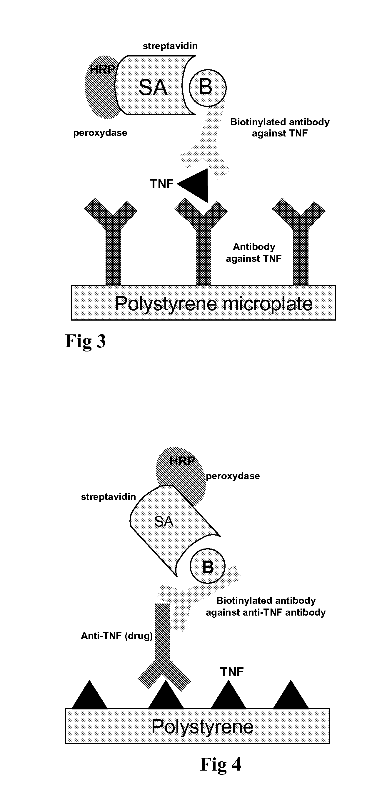 Methods for detecting antibodies