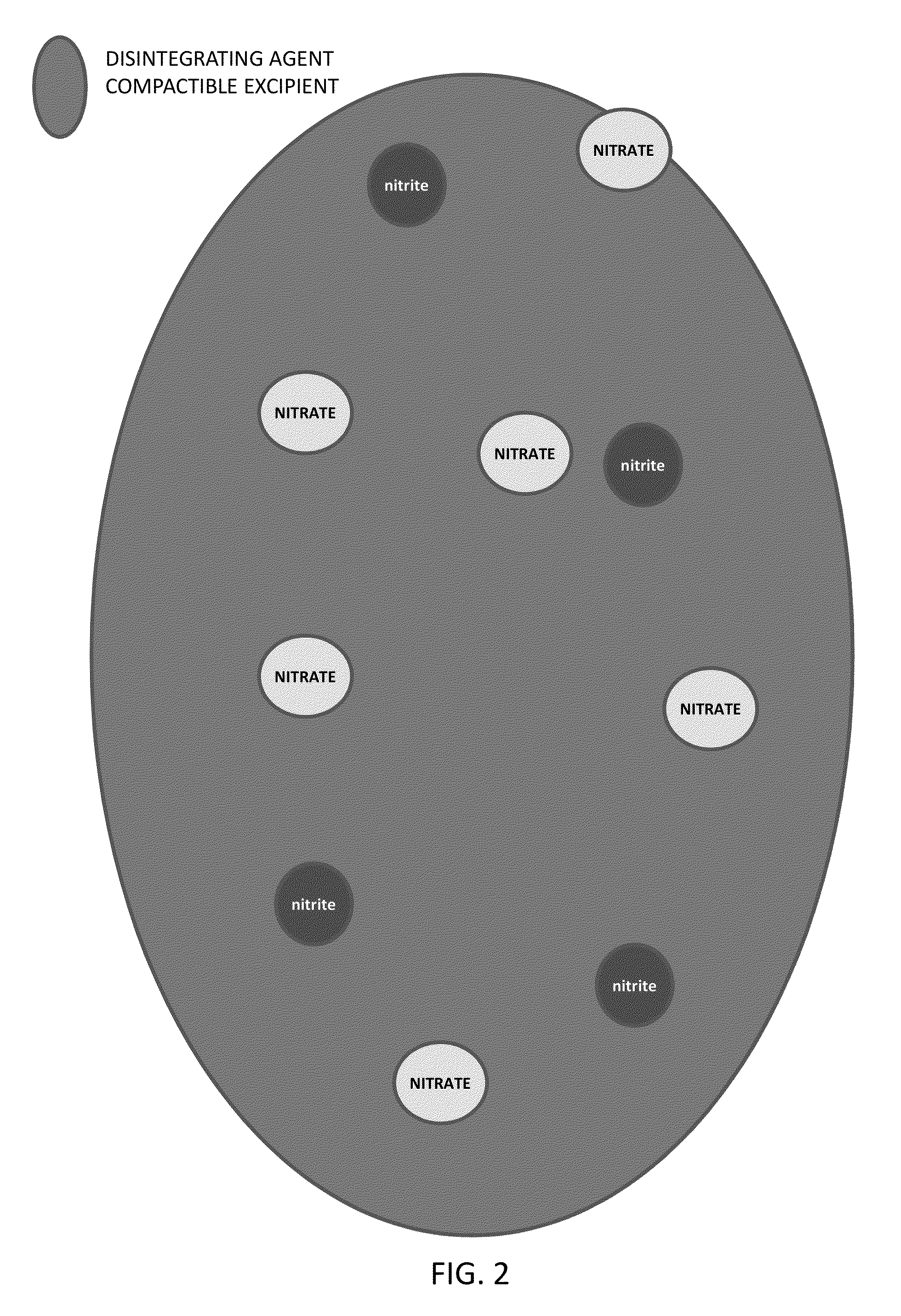 Method of producing physiological and therapeutic levels of nitric oxide through an oral delivery system