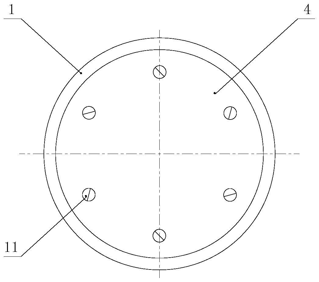 A video signal amplifier