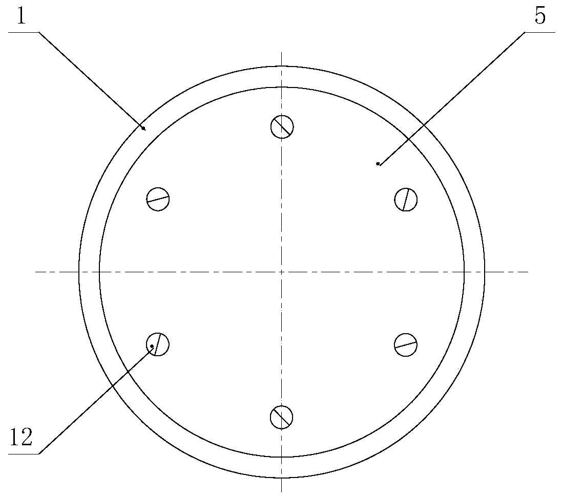 A video signal amplifier