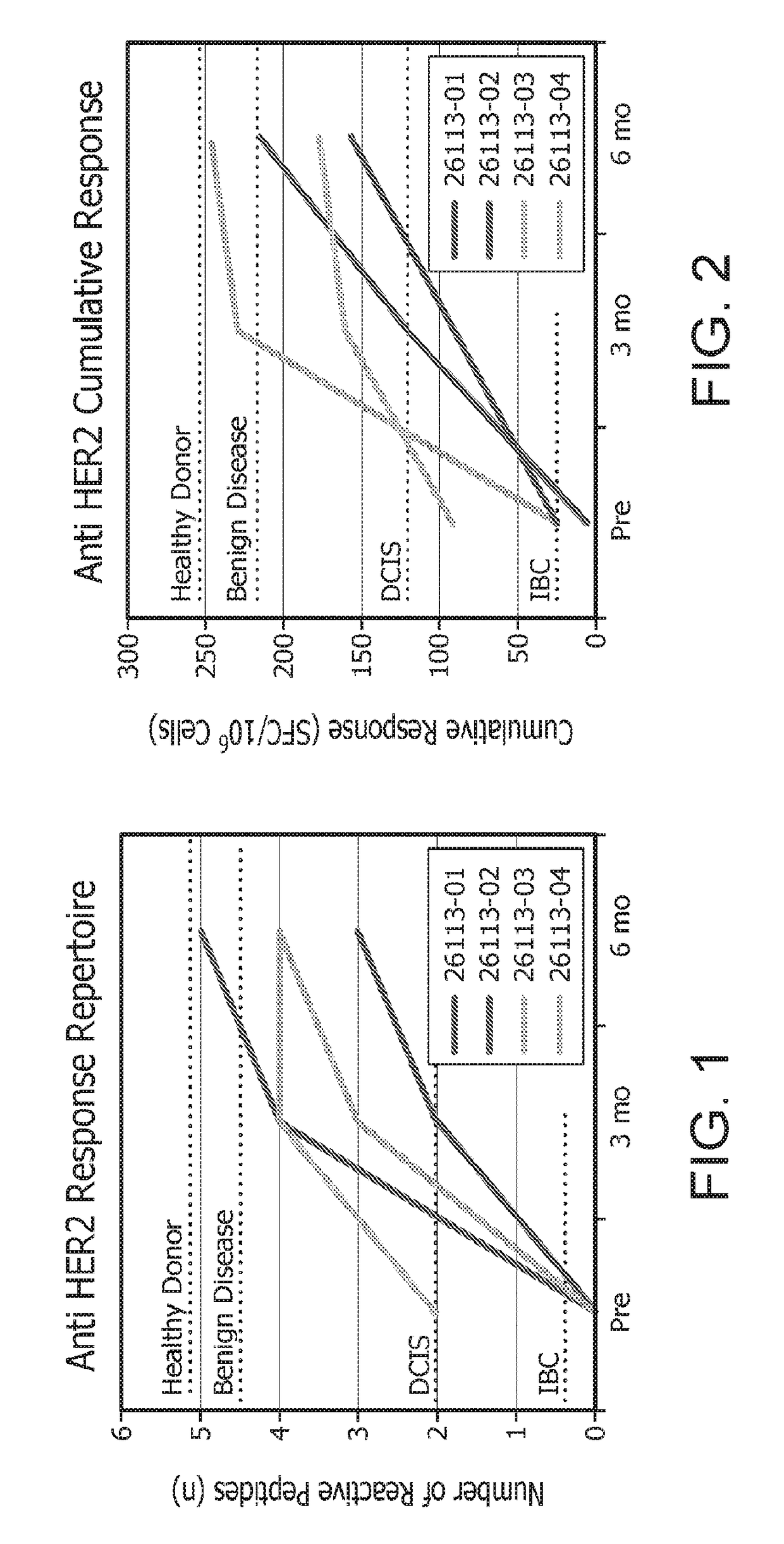 In vitro artificial lymph node method for sensitization and expansion of t cells for therapy and epitope mapping