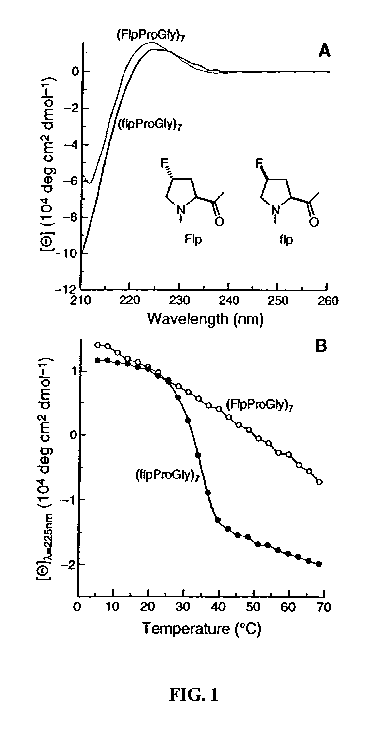 Collagen mimics