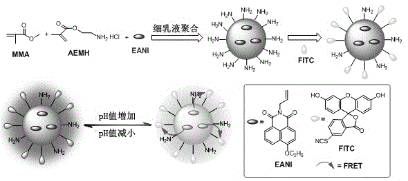 Water-dispersiblity fluorescent polymer nanoparticle with radio detecting function for pH value and mercury ions as well as preparation method and application of water-dispersiblity fluorescent polymer nanoparticle