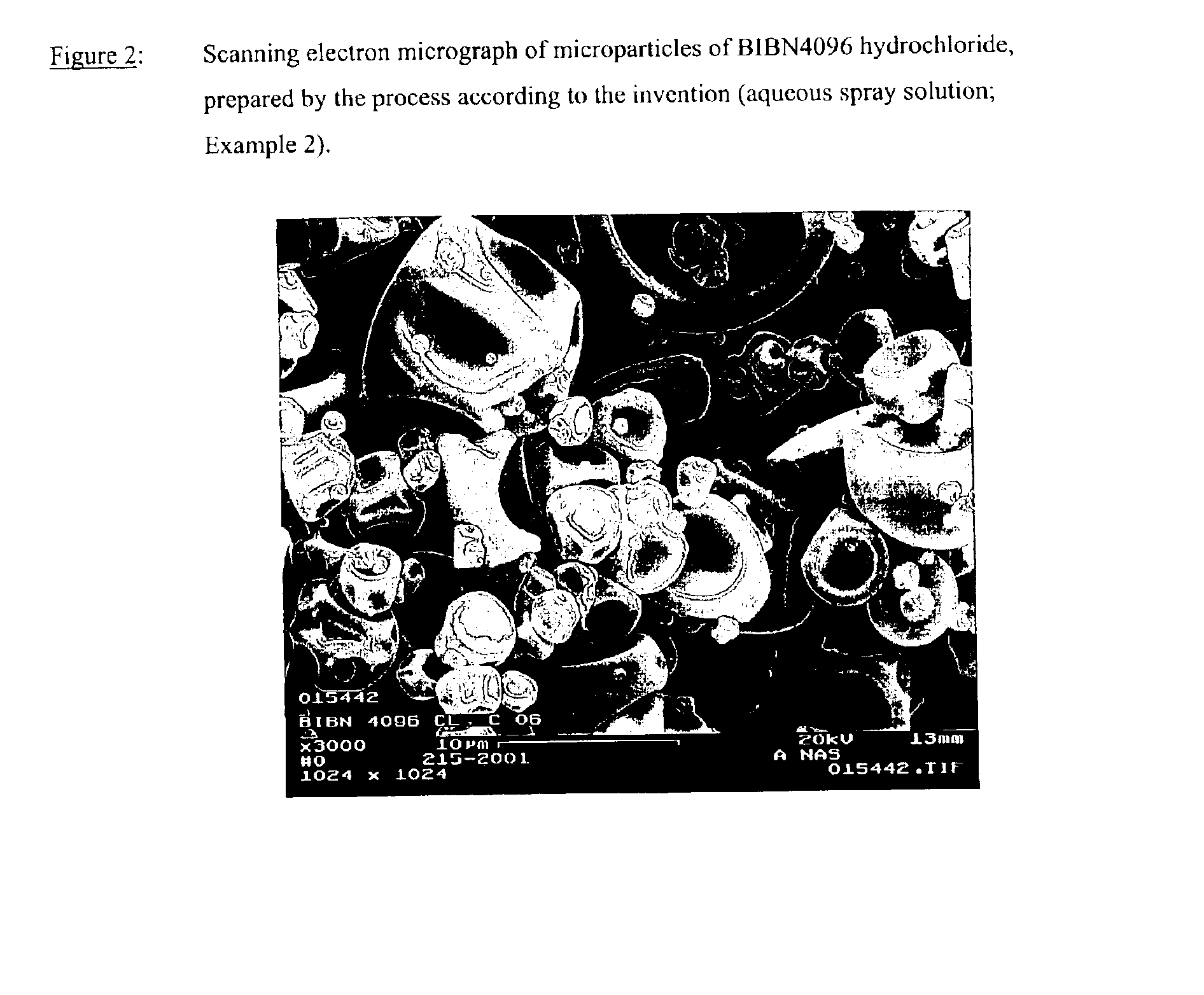 Salts of the CGRP antagonist BIBN4096 and inhalable powdered medicaments containing them