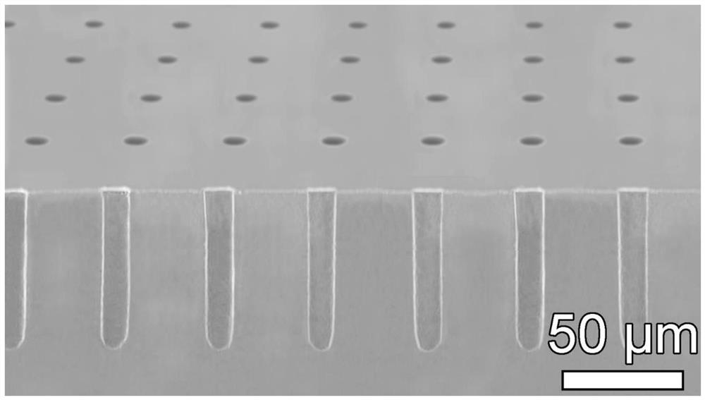 Preparation and use method of a microscopic intelligent robot and a microscopic magnetic gripper