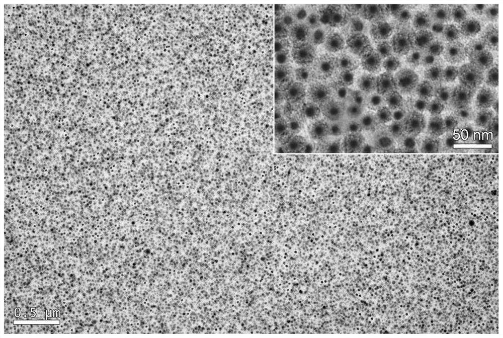 Preparation and use method of a microscopic intelligent robot and a microscopic magnetic gripper