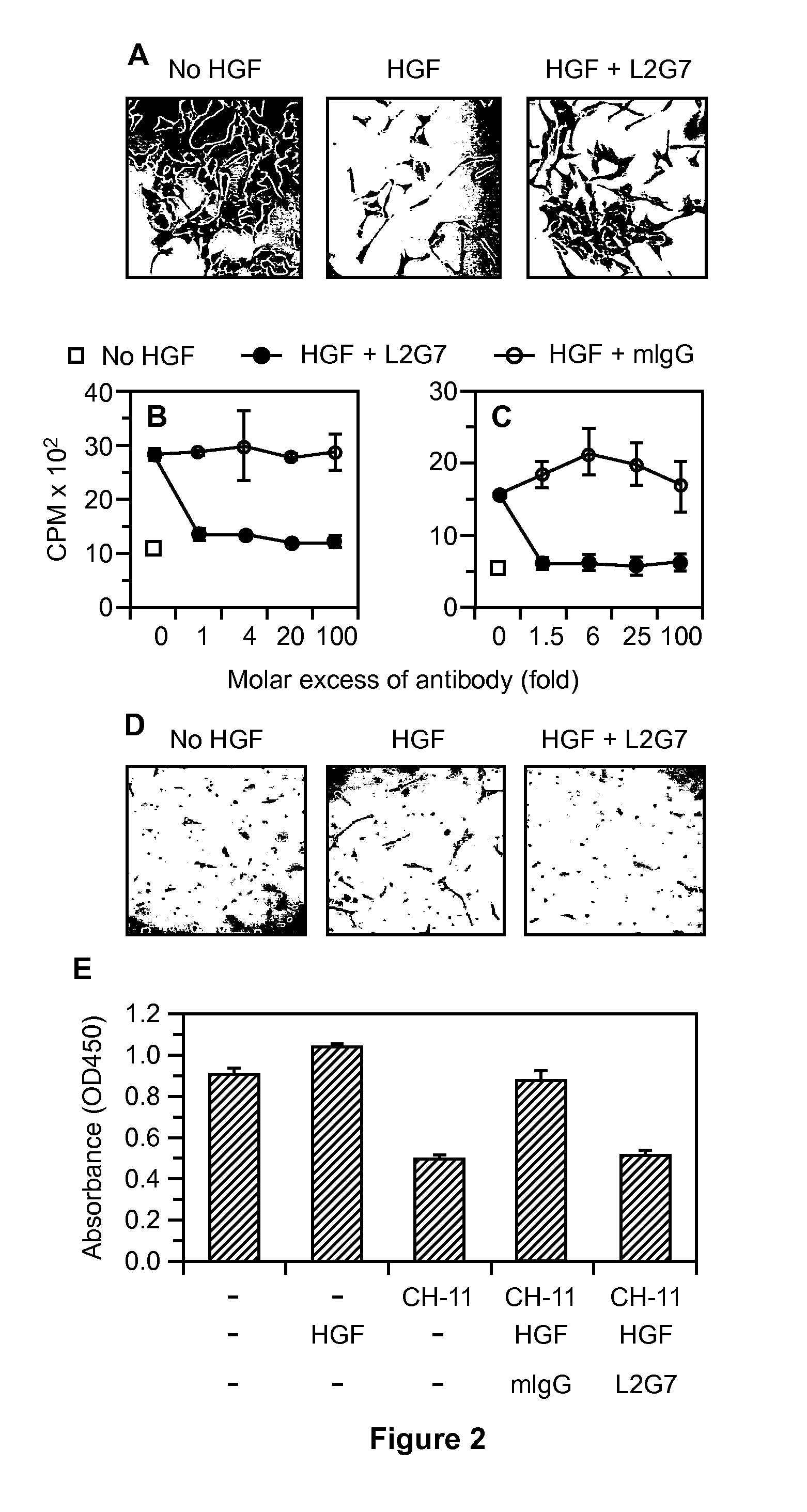 Methods of treating brain tumors with antibodies