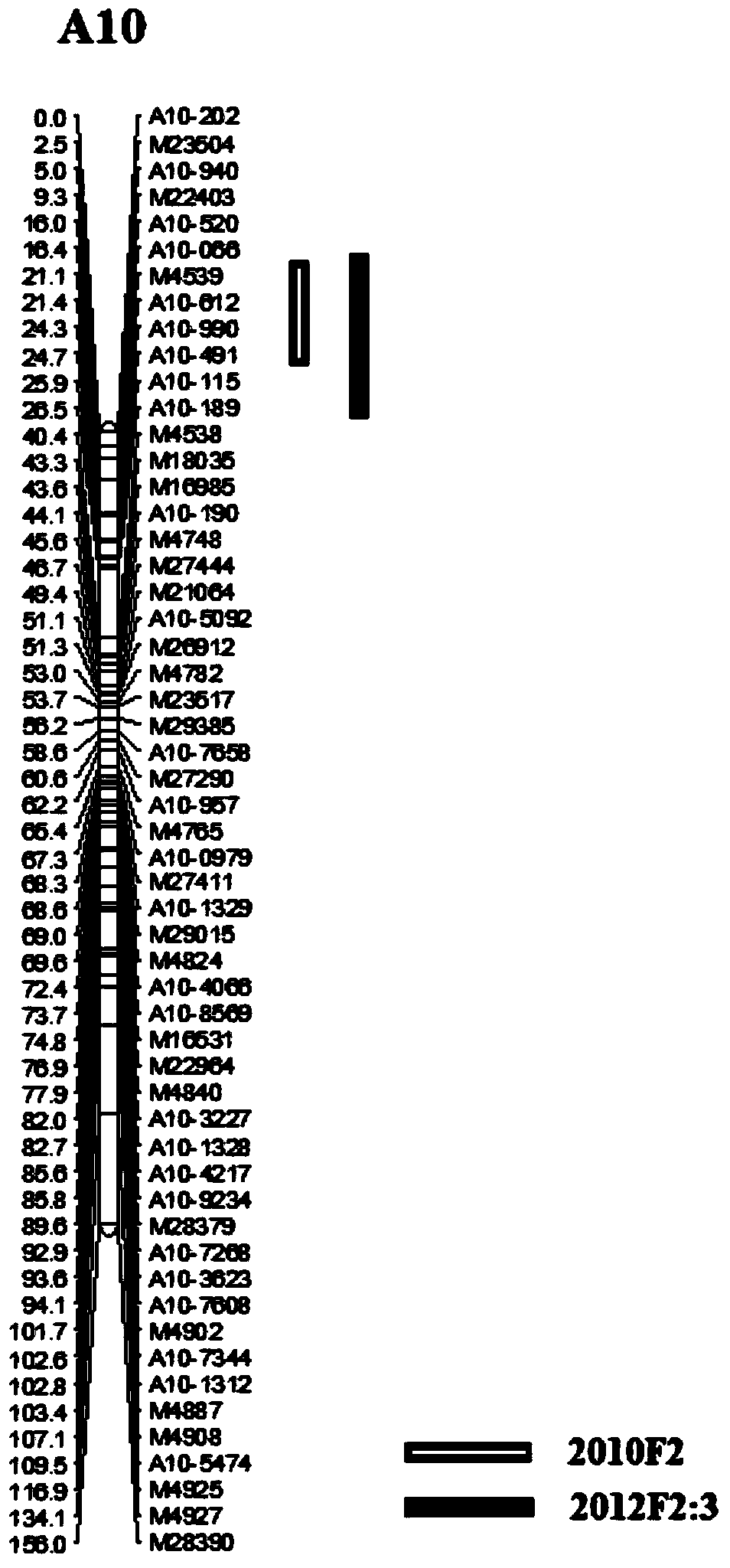 Oil content character main gene locus of rape 6F313 and applications thereof