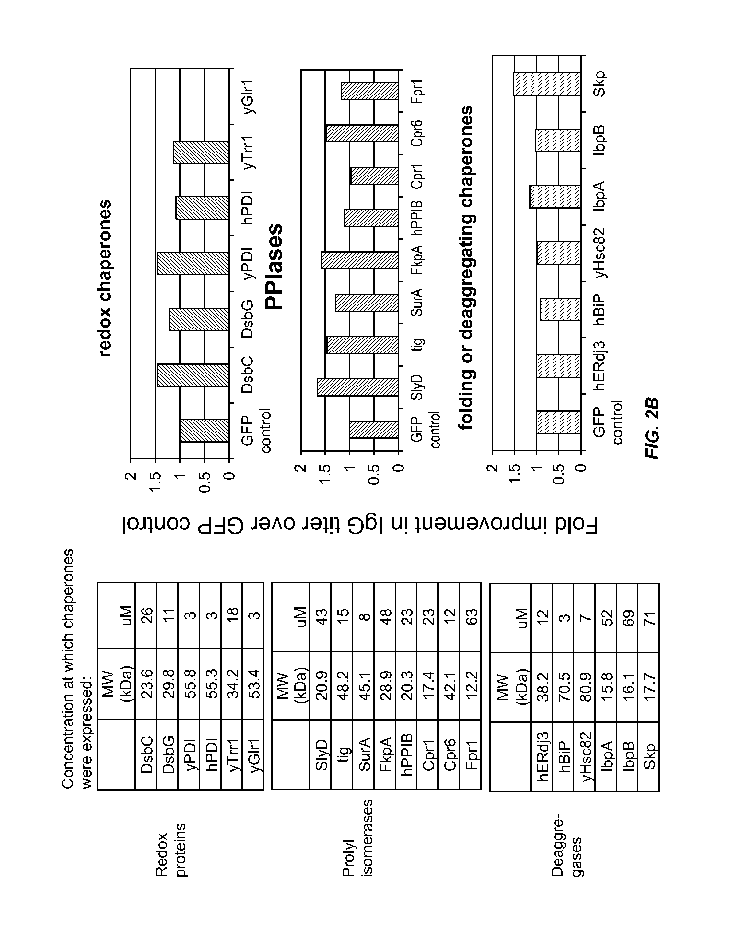 Expression of biologically active proteins in a bacterial cell-free synthesis system using bacterial cells transformed to exhibit elevated levels of chaperone expression